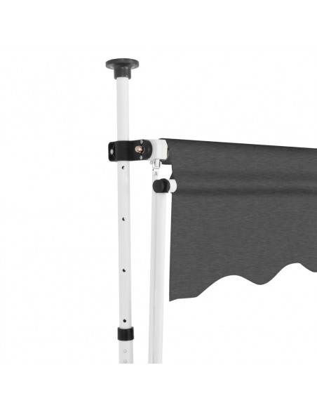 Tenda da Sole Retrattile Manuale 250 cm Antracite