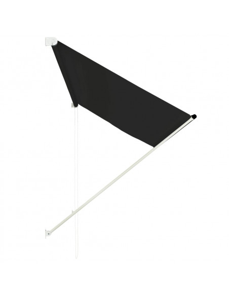 Tenda da Sole Retrattile 250x150 cm Antracite