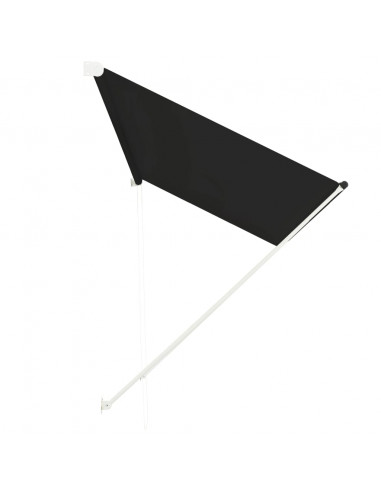 Tenda da Sole Retrattile 300x150 cm Antracite