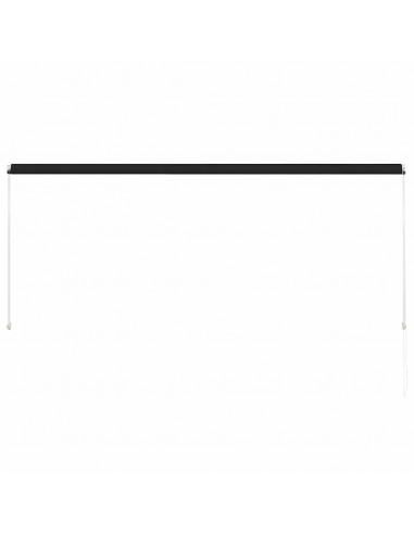 Tenda da Sole Retrattile 300x150 cm Antracite