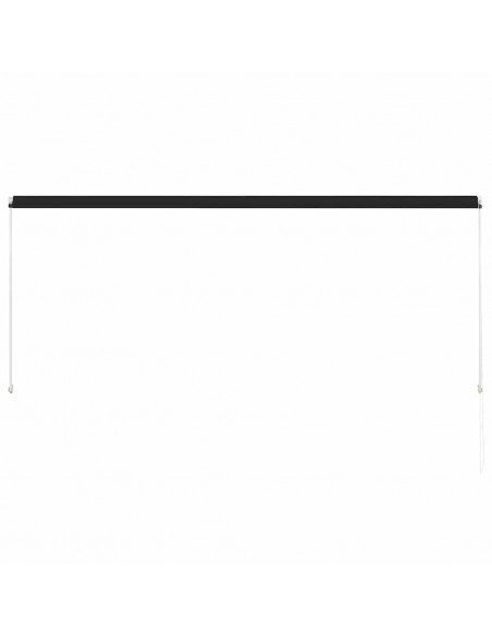Tenda da Sole Retrattile 300x150 cm Antracite