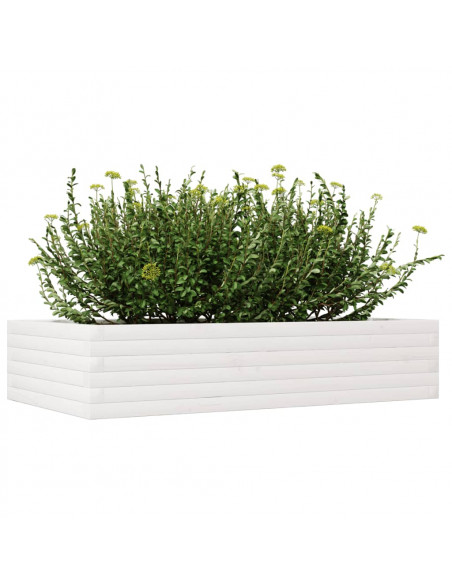 Fioriera da Giardino Bianca 110x60x23 cm Legno Massello Pino
