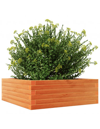 Fioriera Giardino Marrone Cera 70x70x23 cm Legno Massello Pino