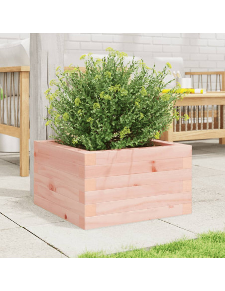 Fioriera da Giardino 40x40x23 cm in Legno Massello di Douglas