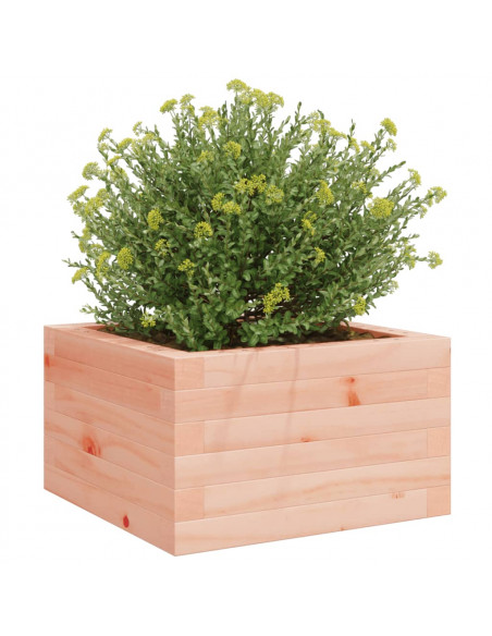 Fioriera da Giardino 40x40x23 cm in Legno Massello di Douglas