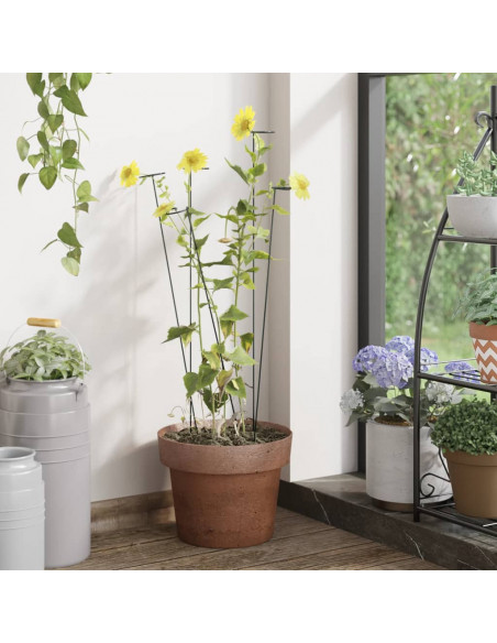 Supporti per Piante da Giardino 20 pz Verde Scuro 40 cm Acciaio