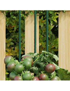 Supporti per Piante da Giardino 30 pz Verde 150 cm Acciaio