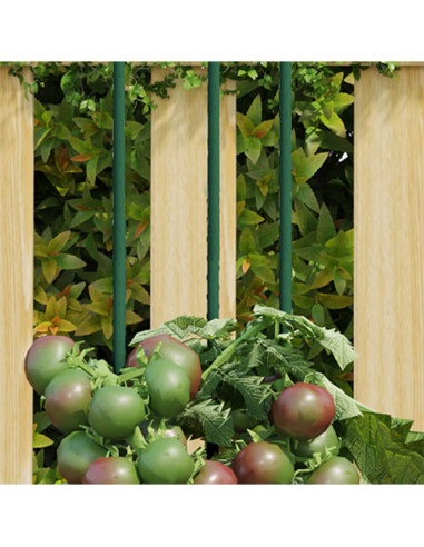 Supporti per Piante da Giardino 30 pz Verde 180 cm Acciaio