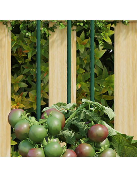 Supporti per Piante da Giardino 30 pz Verde 180 cm Acciaio