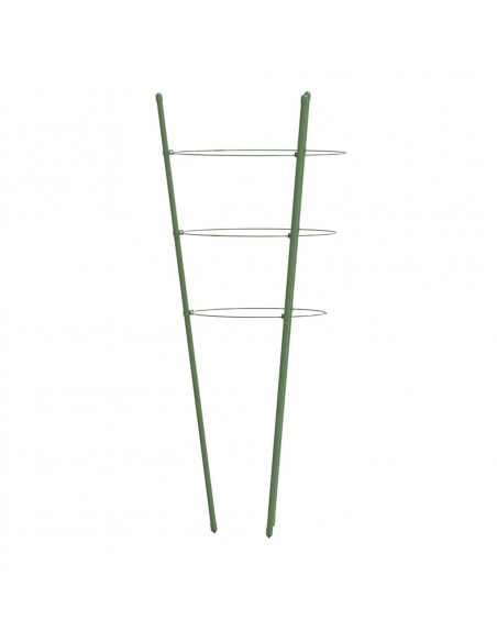 Supporti Piante da Giardino con 3 Anelli 5pz Verde 75cm Acciaio