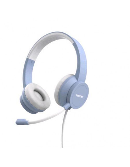 SW HEADPHONE CABLE+MIC
