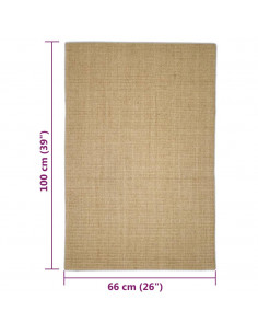 Tappeto in Sisal per Tiragraffi 66x100 cm