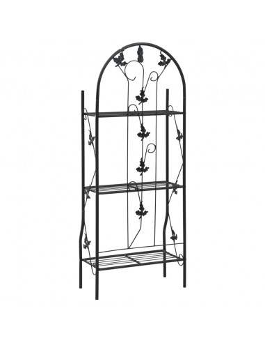 Supporto per Piante a 3 Livelli Nero 52x28x128 cm in Ferro
