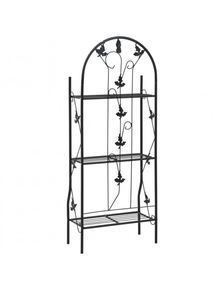 Supporto per Piante a 3 Livelli Nero 52x28x128 cm in Ferro