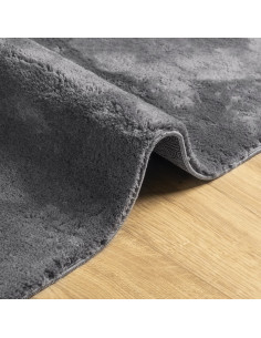 Tappeto Pelo Corto HUARTE Morbido Lavabile Antracite 240x240 cm