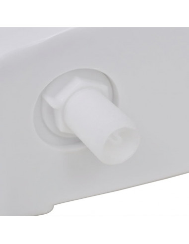 Sciacquone WC con Ingresso Acqua dal Basso 3/6 L Bianco