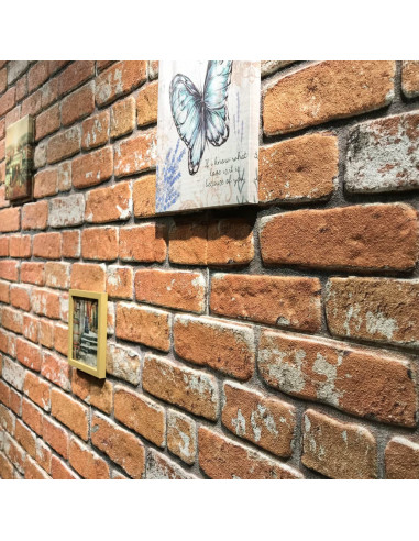 Pannelli Murali 3D con Design Mattoni Marrone Chiaro 11 pz EPS