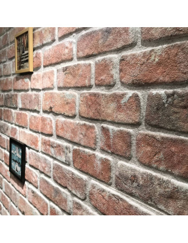 Pannelli Murali 3D con Design a Mattoni Rosso 11 pz EPS