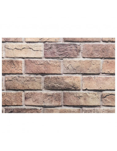 Pannelli Murali 3D 10 pz Marrone 100x50 cm EPS