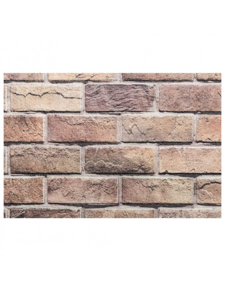 Pannelli Murali 3D 10 pz Marrone 100x50 cm EPS
