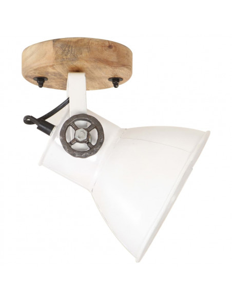 Lampade da Parete/Soffitto 2 pz Industriale Bianca 20x25 cm E27