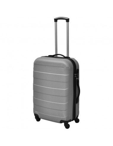 Set Trolley Rigidi 3 pz Argento 45,5/55/66 cm