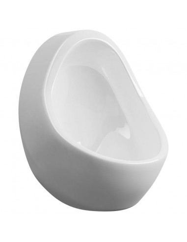 Orinatoio Sospeso con Sciacquone in Ceramica Bianco