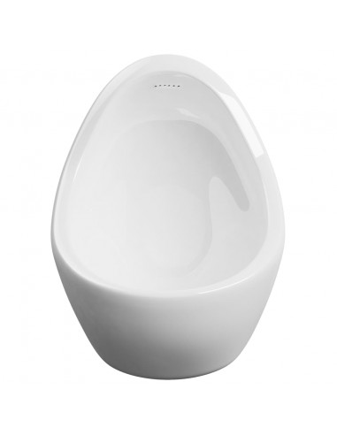 Orinatoio Sospeso con Sciacquone in Ceramica Bianco