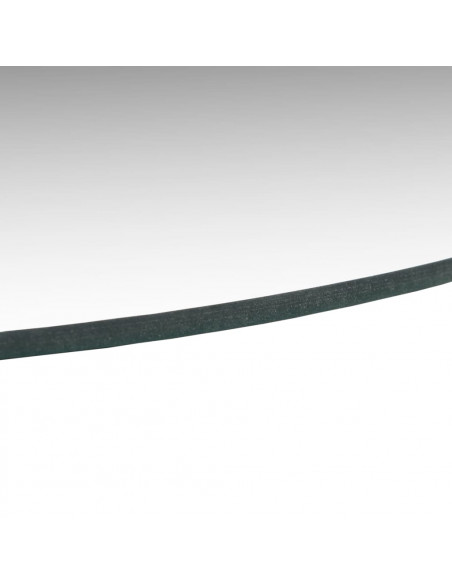 Specchi da Parete 2 pz 50 cm in Vetro Circolari