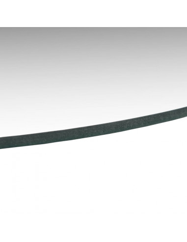 Specchi da Parete 2 pz 60 cm in Vetro Circolari