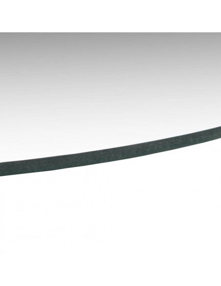 Specchi da Parete 2 pz 60 cm in Vetro Circolari