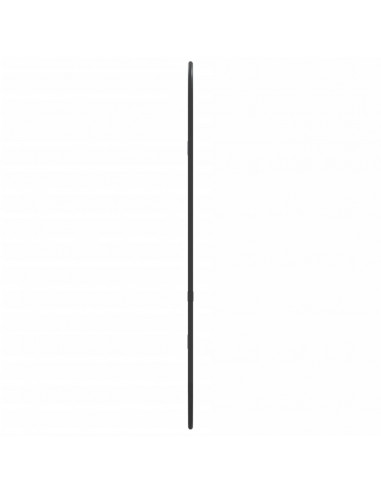 Specchio da Parete Nero 60x25 cm Ovale