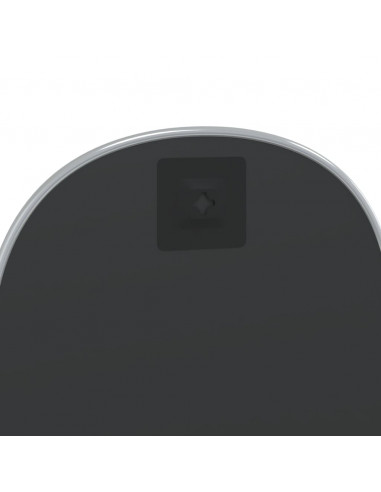 Specchio da Parete Argento 40x30 cm