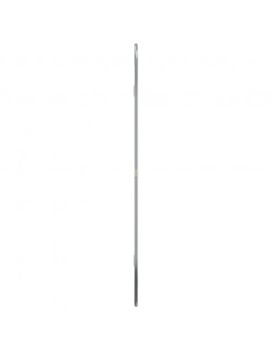 Specchio da Parete Argento 60x40 cm