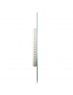 Specchio da Bagno LED 60x25 cm Ovale 2