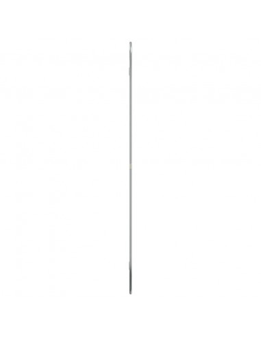 Specchio da Parete Argento 80x50 cm