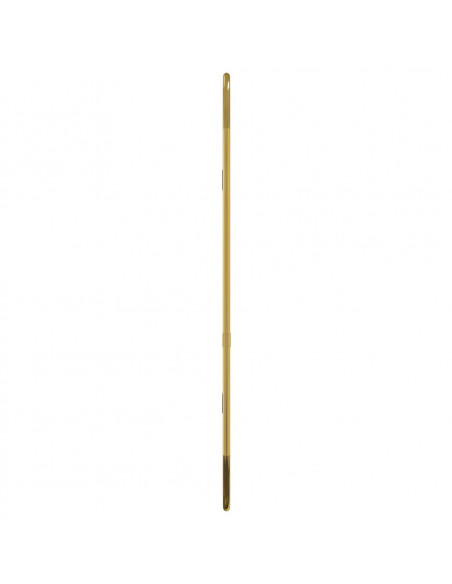Specchio da Parete Dorato 60x25 cm Ovale