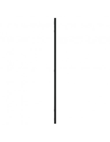 Specchio da Parete Nero 50x80 cm Rettangolare in Ferro