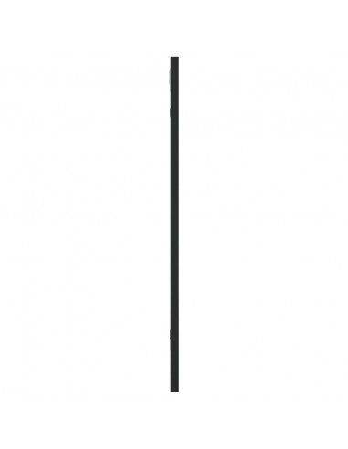 Specchio da Parete Nero 30x60 cm Rettangolare in Ferro