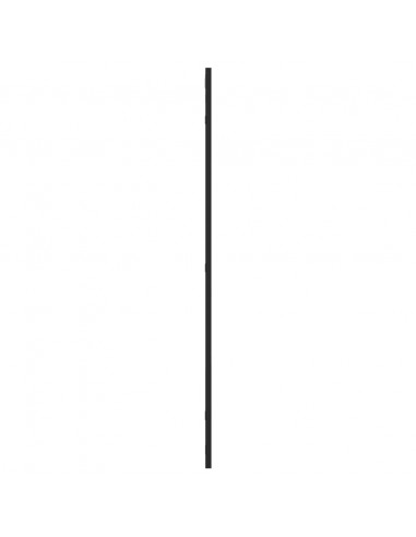 Specchio da Parete Nero 60x100 cm Rettangolare in Ferro