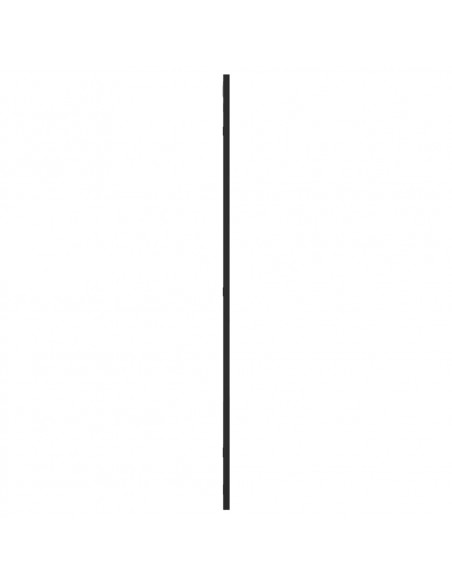 Specchio da Parete Nero 60x100 cm Rettangolare in Ferro