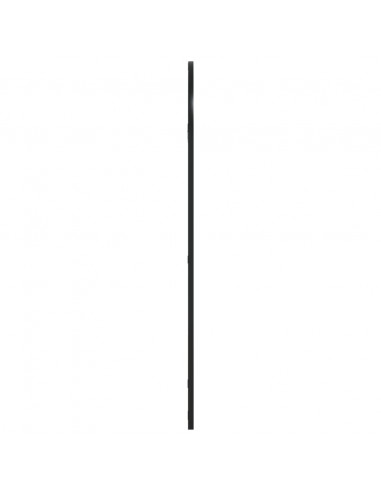 Specchio da Parete Nero 50x100 cm Arco in Ferro
