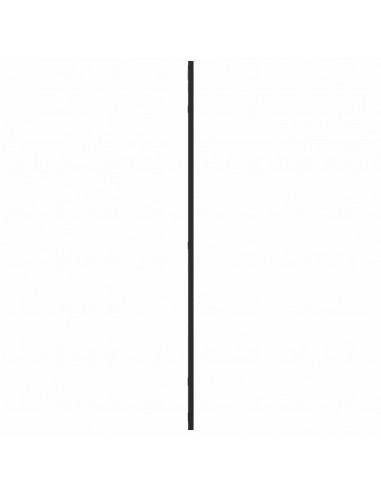 Specchio da Parete Nero 50x100 cm Rettangolare in Ferro
