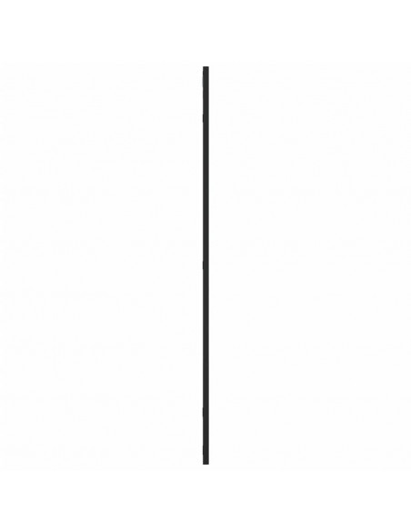 Specchio da Parete Nero 50x100 cm Rettangolare in Ferro