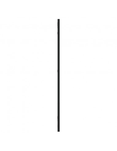 Specchio da Parete Nero 30x80 cm Rettangolare in Ferro