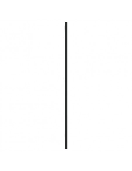 Specchio da Parete Nero 30x80 cm Rettangolare in Ferro
