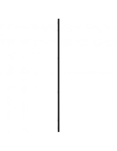 Specchio da Parete Nero 50x100 cm Rettangolare in Ferro