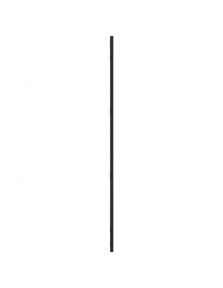 Specchio da Parete Nero 50x100 cm Rettangolare in Ferro