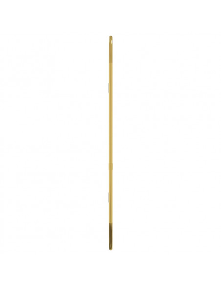 Specchio da Parete Dorato 50x20 cm Ovale