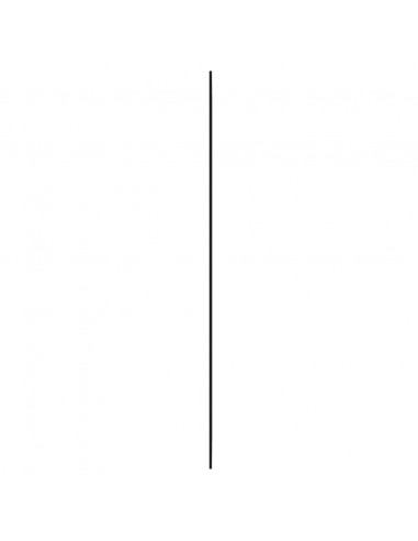 Specchio da Parete 40x100 cm Vetro Rettangolare